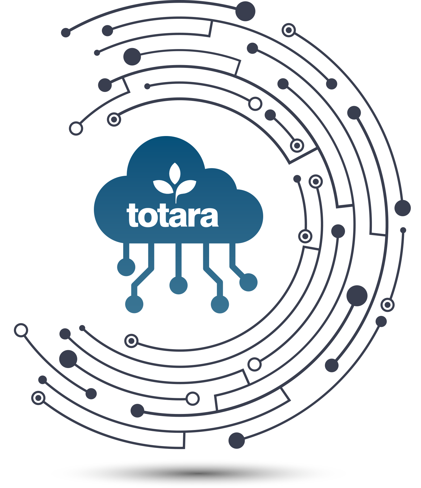 Individuelle Hosting-Lösungen für Totara Lernplattformen